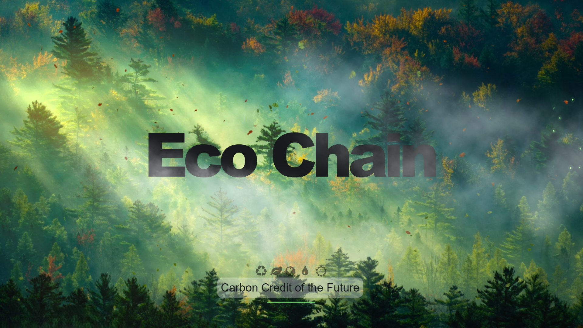 Screenshot of Eco Chain - MERN + Blockchain marketplace for carbon credit tokenization